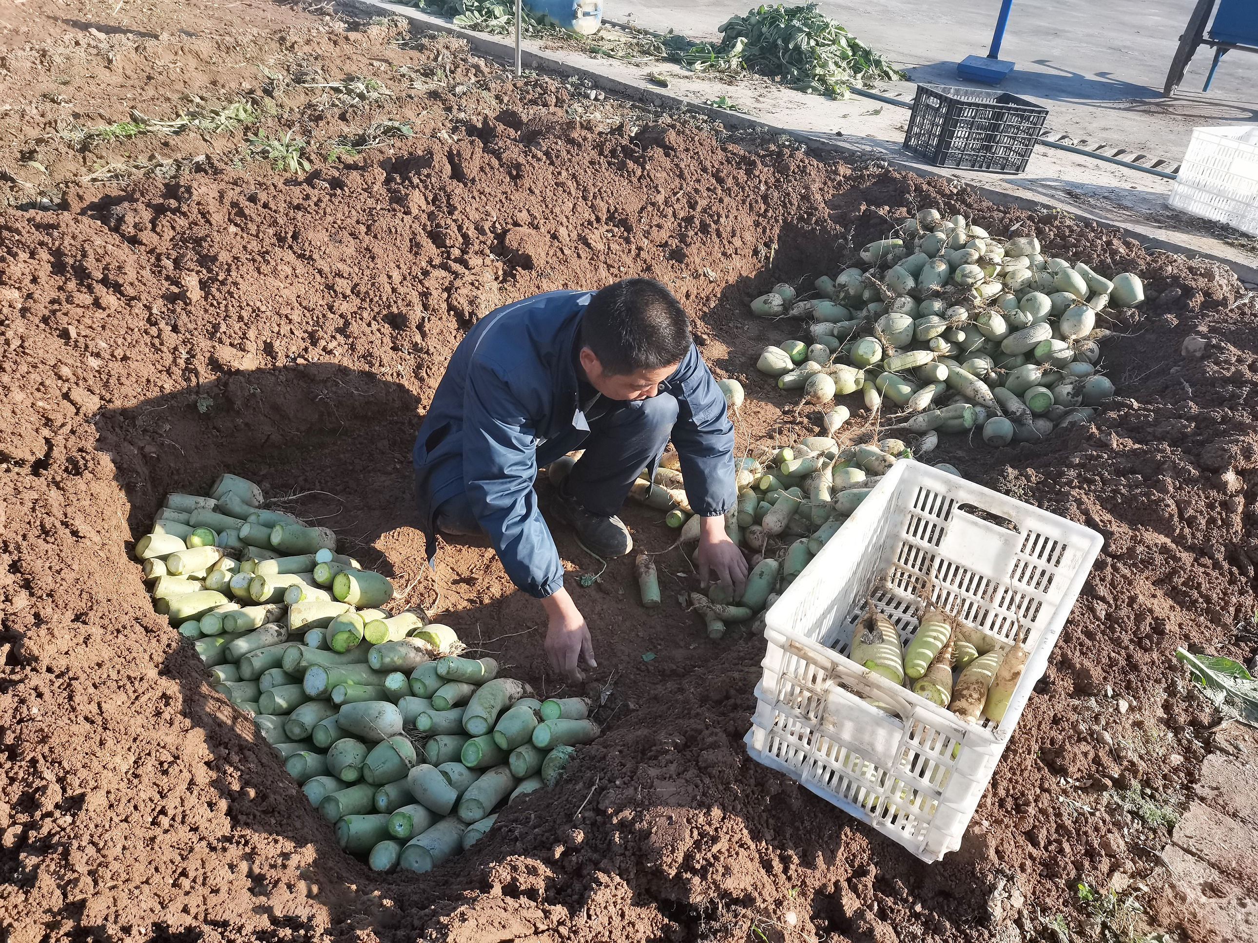 微信圖片_2021112319074.jpg 微信圖片_2021112319074.jpg